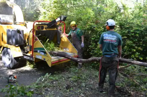 tree services Hughson